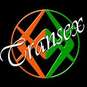 www.transextrieste.it
